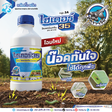 ไฮเตอร์35